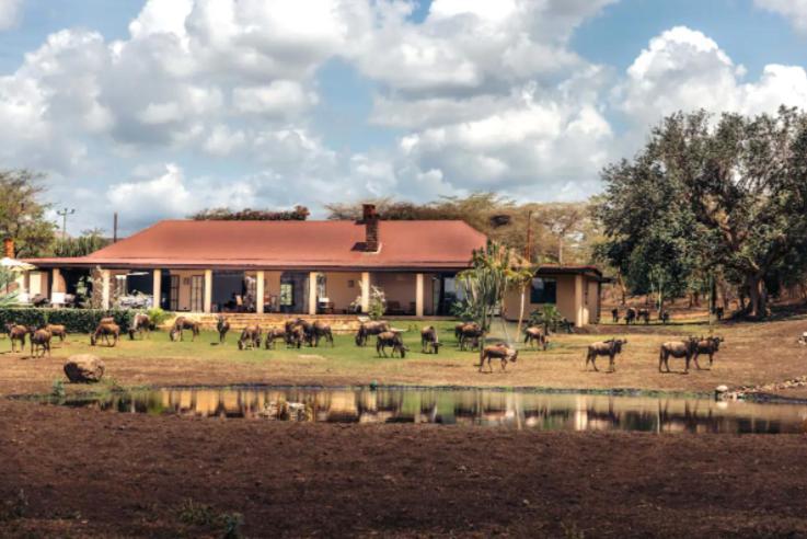 Wildlife Residence Tuvaila Esterno foto